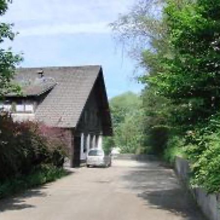 Ferienwohnungen Seeblick Unterkirnach Kültér fotó