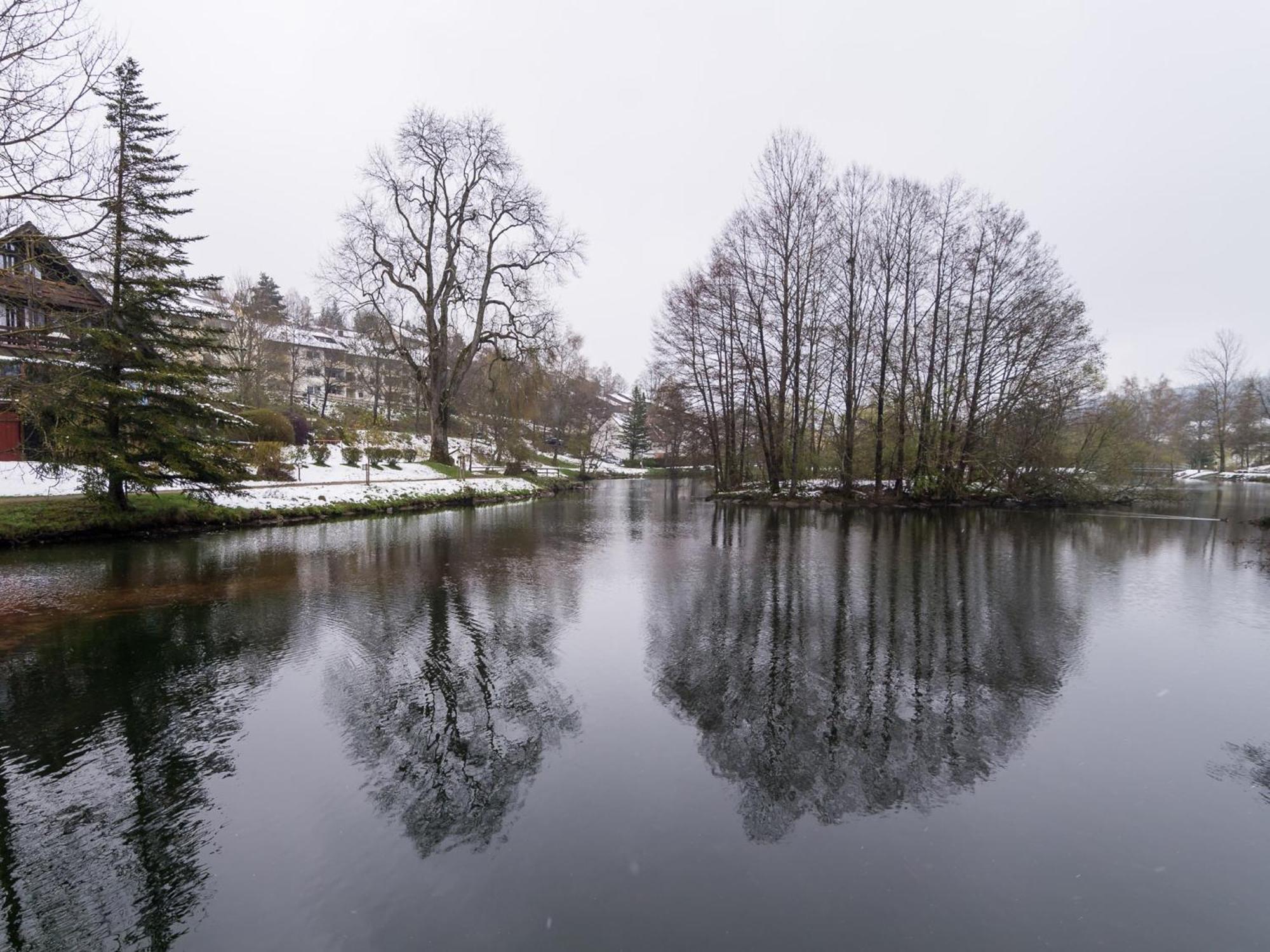 Ferienwohnungen Seeblick Unterkirnach Kültér fotó