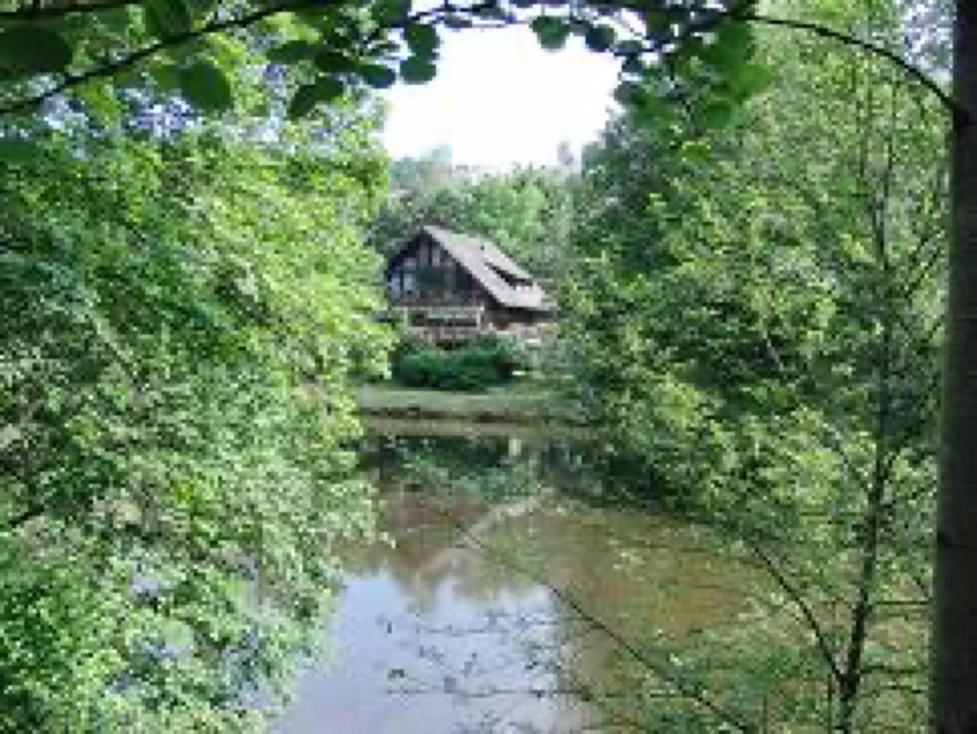 Ferienwohnungen Seeblick Unterkirnach Kültér fotó