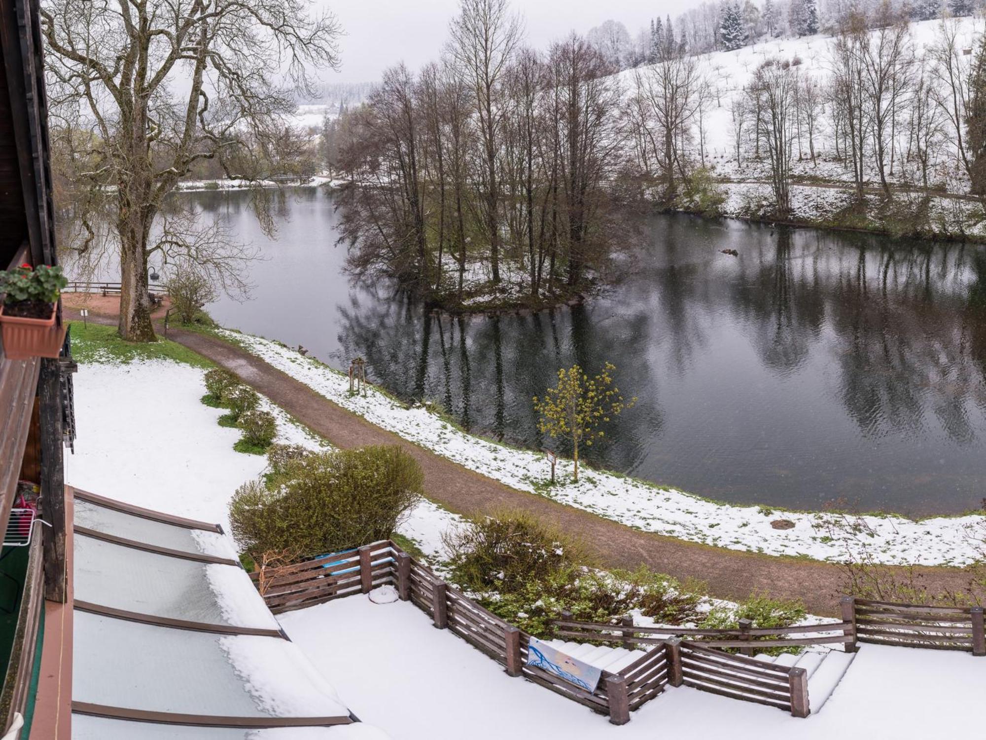 Ferienwohnungen Seeblick Unterkirnach Kültér fotó
